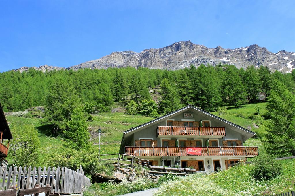 Maison Des Myrtilles Otel Valgrisenche Dış mekan fotoğraf
