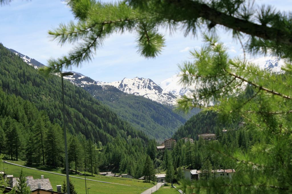 Maison Des Myrtilles Otel Valgrisenche Dış mekan fotoğraf